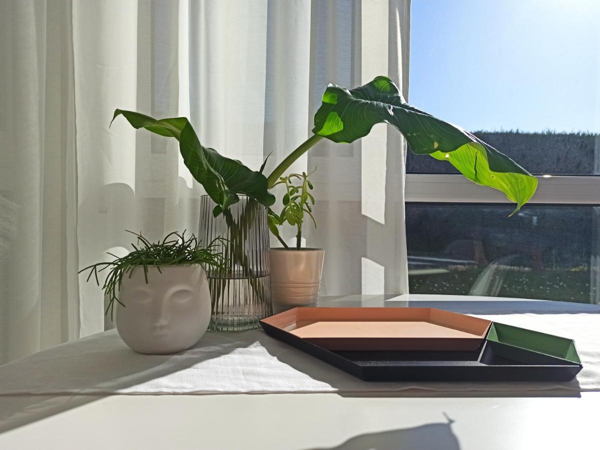 Bajo Con Jardin Privado Apartment Santander Bagian luar foto
