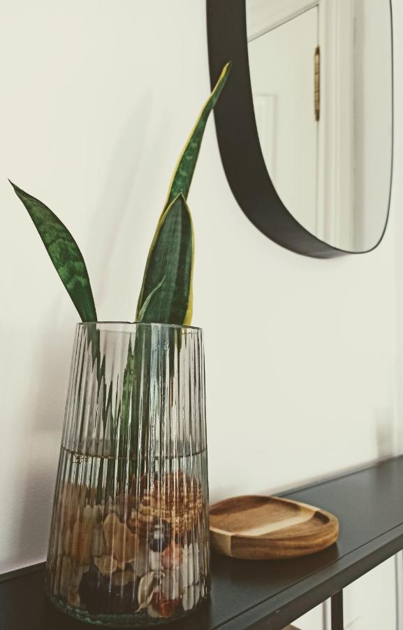 Bajo Con Jardin Privado Apartment Santander Bagian luar foto
